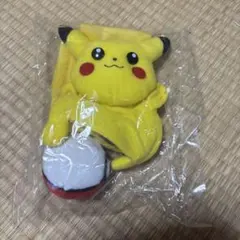 即購入可】ポケモン プチぬいぐるみINモンスターボールVol.4