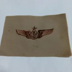 米軍実物 航空徽章 パッチ ワッペン