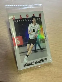 2025年最新】山内晶大の人気アイテム - メルカリ