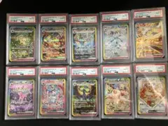 PSA10 ブラッキーのみPSA9】10連番ブイズSAR テラスタルフェスex