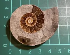 Item thumbnail for item 90d92b43-3798-4f23-90fc-e47028358ae7