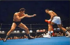 直筆】ジャンゴ・フェット役テムエラ・モリソン氏 サイン入りポート