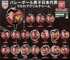 バレーボール男子日本代表 うちわアクリルチャーム - メルカリ