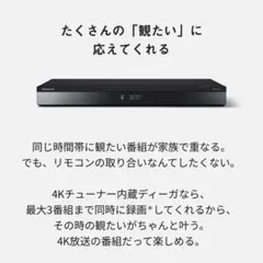 2026年最新】dmr-4t203の人気アイテム - メルカリ