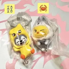 SKZOO つまんでつなげてますこっと ホジュズ （2個セット）-2