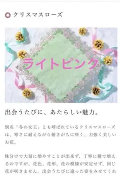 近沢レースシーズンハンカチ 限定完売品 クリスマスローズ（ライトピンク）のサムネイル
