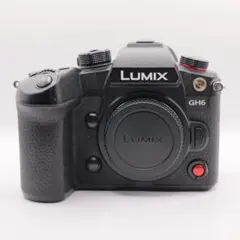 2025年最新】gh6 lumixの人気アイテム - メルカリ