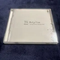 Daniel Arsham Rizzoli Electa 作品集 - メルカリ