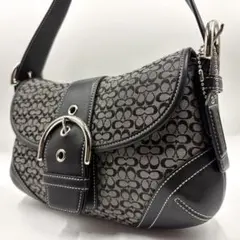 極美品 COACH コーチ ソーホー レザーワンショルダーバッグ 10269