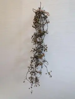 ヘクソカズラ　ドライ