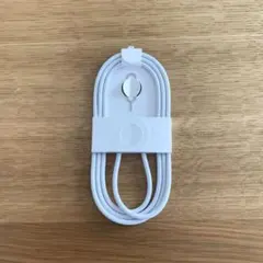 新品未使用 Apple 純正　TYPE C充電ケーブル　編み込み シムピン付き