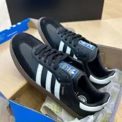 Item thumbnail for item 6cdffa52-0ce6-46d5-a9d9-52d7948361fa