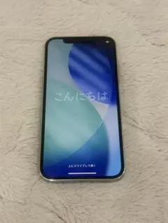 Apple iPhone 12 Pro シルバー 256GB
