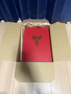 26cm ナイキ コービー5 プロトロ 