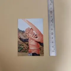 【超貴重】仮面ライダーチップス 「泡怪人カニブラー」