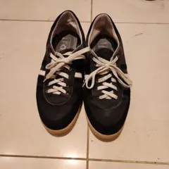 Item thumbnail for item 2d1929f2-88b2-4df4-a97c-e259f81c2c29