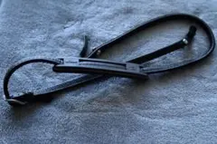 Item thumbnail for item 0f448d91-3057-4232-b774-0b4a444e8166