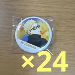 横断幕 フルカラー 缶バッジ 月島蛍 24点セット