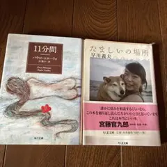 11分間