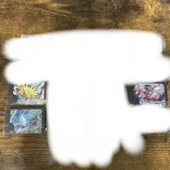 ひろ様専用