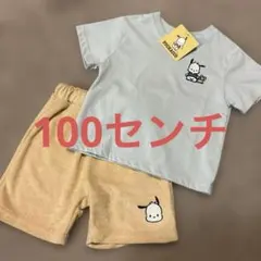 新品　ポチャッコ 上下　セットアップ　100センチのサムネイル