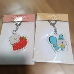 希少 ともだちはくま アクリルキーホルダー いちご　ちょうちょ