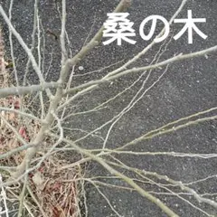 ビレジ様 リクエスト 6点 まとめ商品