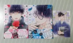 コミック『黒崎さんの一途な愛がとまらない』①