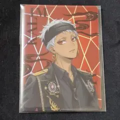 ミキノスケ様専用 ルーク、カリム カード