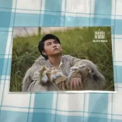 Mrs. GREEN APPLE イ/ミュータブル フォトカード 035