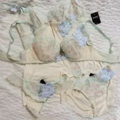 サルート４点セットブラ　キャミソール　ノーマル　ソング即購入◎レッドカーペット☆