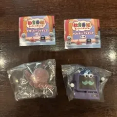教育番組 フロッキーフィギュア パウル はかせ