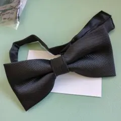 Item thumbnail for item 0520eafc-8ef0-4480-a129-7c567e0e5687