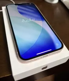iPhone13 256GB デュアルSIM