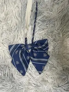 Item thumbnail for item 855ada4e-2804-4f2e-93ce-d040636b8340