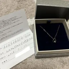 Item thumbnail for item 8ee15557-ad0b-4f94-b4dd-9398bd49eef0