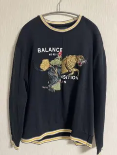 ZARA 刺繍トレーナーのサムネイル