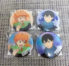 ハイキュー　ナンジャタウン　遊びつくせ　オーロラ　缶バッジ　日向翔陽　影山飛雄