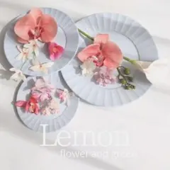 胡蝶蘭　カラー　ヘッドパーツ造花　アーティフィシャルフラワー　くすみピンク　白