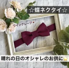 蝶ネクタイ　幼児　小学生　キッズ　子ども　スーツ　麻　リネン　レッド　赤　結婚式