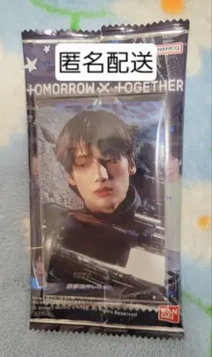 TXT ツインウエハース シール ヒュニンカイ ノーマル N1-15