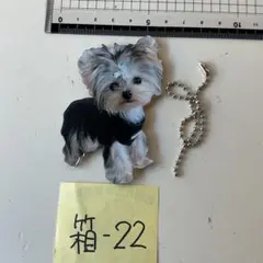 ヨークシャーテリア アクリルキーホルダー