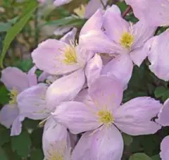 まーさん様 リクエスト 2点 まとめ商品