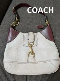 美品 コーチ ワンショルダーバッグ アクセサリーポーチ シボ革 バイ