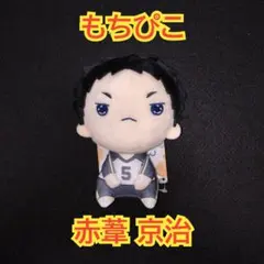 ハイキュー　もちぴこ　ぬいぐるみ　赤葦京治　③