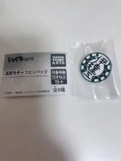 ハイキュー高校モチーフピンバッジ