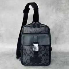 COACHコーチ PVCシグネチャー バックパック 大容量 C2712 - メルカリ