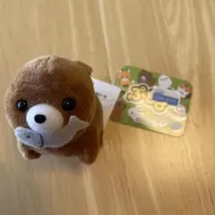 北海道おみやげ アミューズぷちまる アニマルズDX ひぐま ぬいぐるみマスコット