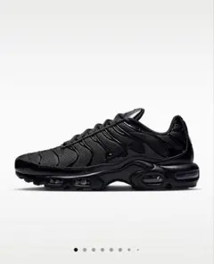 Nike Air max plus エアマックスプラス黒
