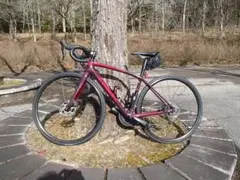 TREK FX Sport 4 Lサイズ カスタム 都内手渡し TREK FX Sport 4 Lサイズ カスタム 都内手渡し - メルカリ